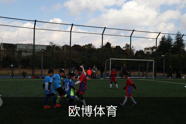 欧博体育公司简介图片